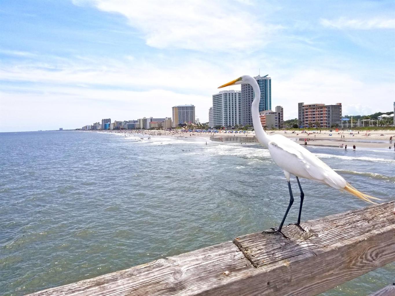 New Modern, Direct Oceanfront, Boardwalk, Views! Apartment Myrtle Beach Exterior photo